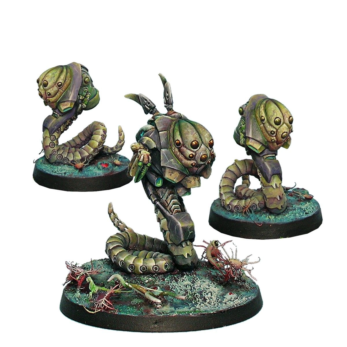 （預購）Combined Army Support Pack